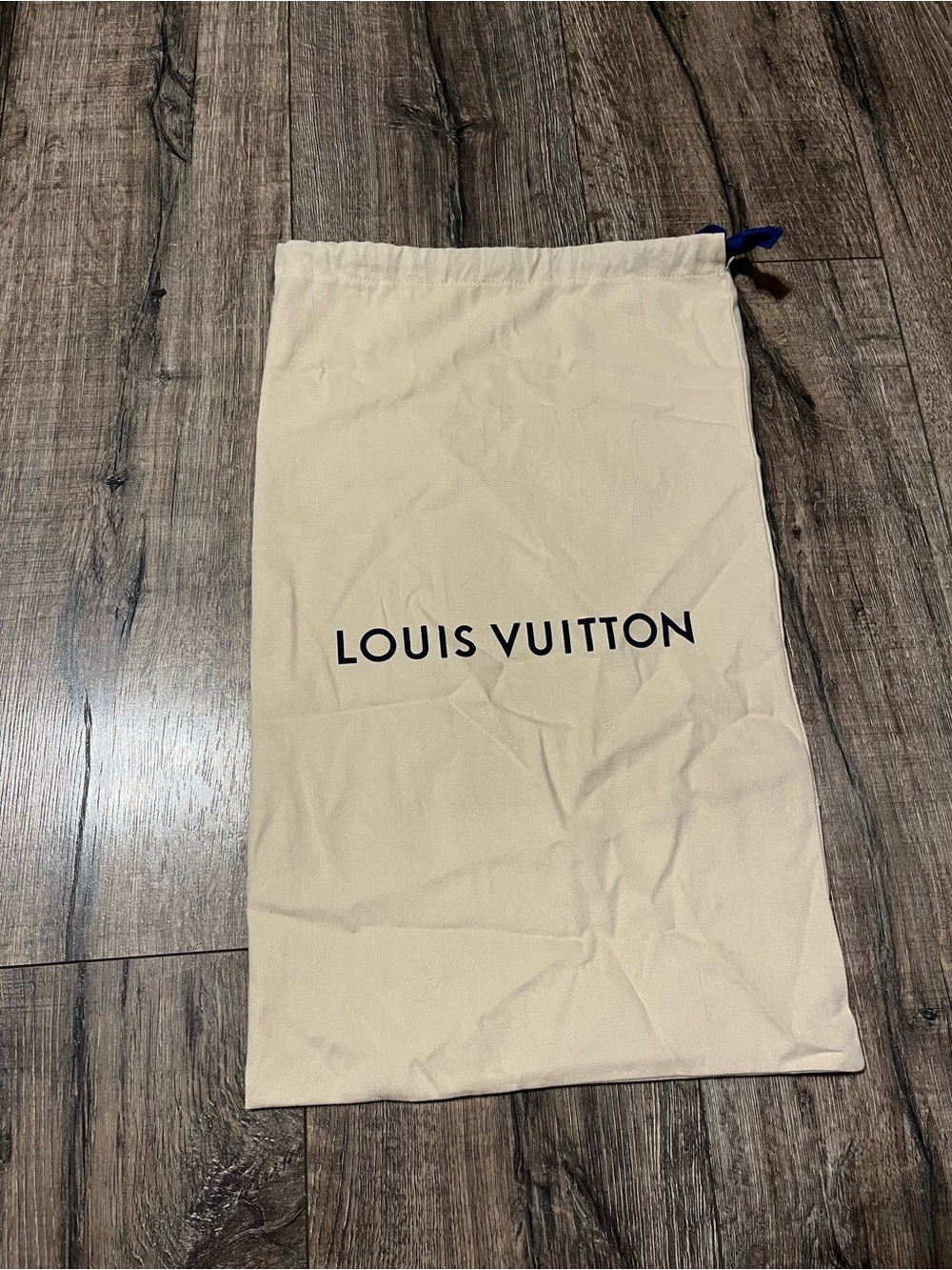 Louis Vuitton dust bag